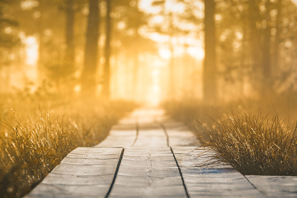 Path to new beginnings