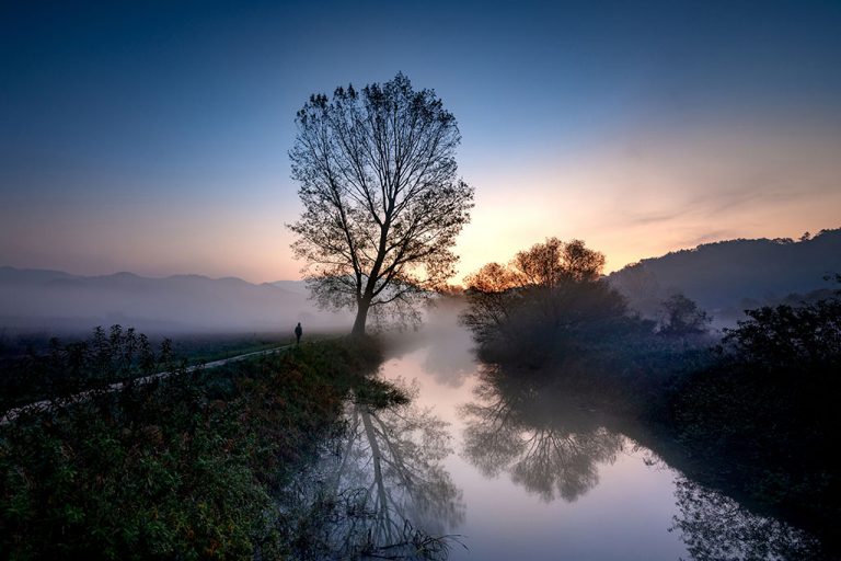 Psalm 1 Like a Planted Tree NIV Bible NIV Bible