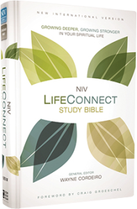 NIV LifeConnect Study Bible - NIV Bible NIV Bible