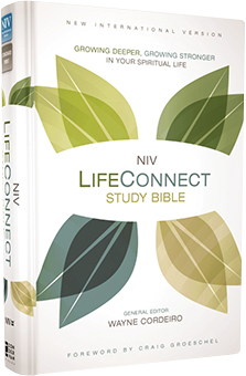 Life Connect Bible