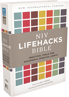NIV Life Hacks Bible