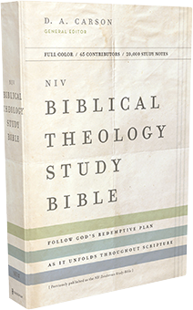 NIV Biblical Theology Study Bible