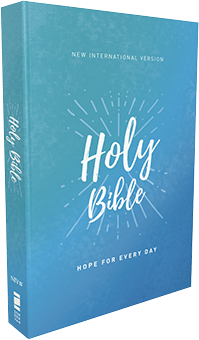 NIV Holy Bible, Economy Bible