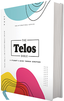 The NIV Telos Bible