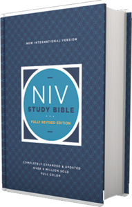 NIV Study Bible Fully Revised Edition hardcover
