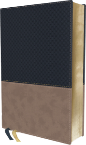 NIV Study Bible Fully Revised Edition navy/tan leathersoft