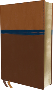 NIV Study Bible Fully Revised Edition personal size brown/blue