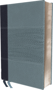 NIV Study Bible Fully Revised Edition Personal Size navy/blue leathersoft