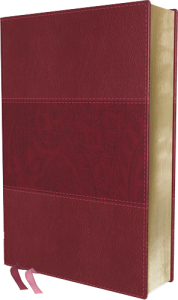 NIV Study Bible Fully Revised Edition Large Print burgundy leathersoft