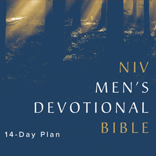 NIV Men's Devotional Bible 14 Day Reading Plan