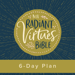 NIV Radiant Virtues Bible 6 Day Reading Plan