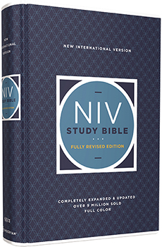 NIV Study Bible 3D cover