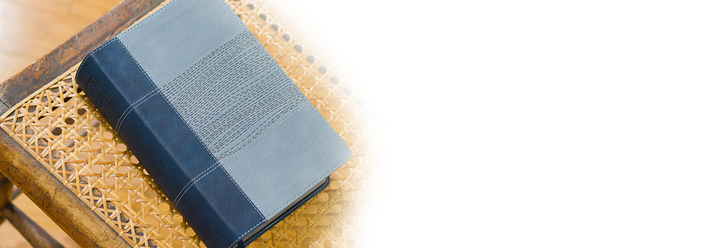 NIV Study Bible Fully Revised Edition on table