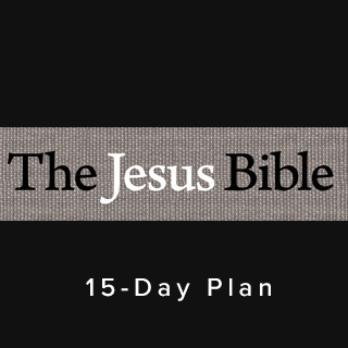 NIV The Jesus Bible 15 Day Reading Plan