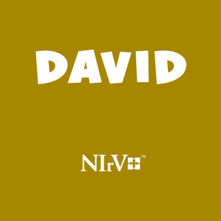 NIrV David People and Heroes of the Bible