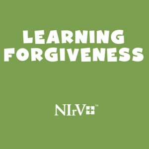 NIrV Activity Packs - NIV Bible NIV Bible