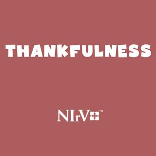 Thankfulness NIrV Activity Pack