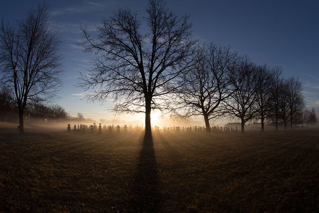 Tree at dust symbolizing God's faithfulness