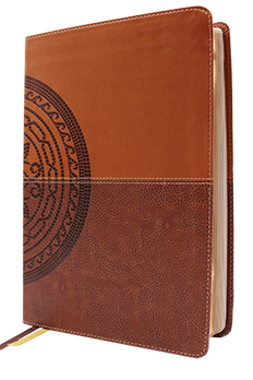 NIV Application Bible Brown Leathersoft