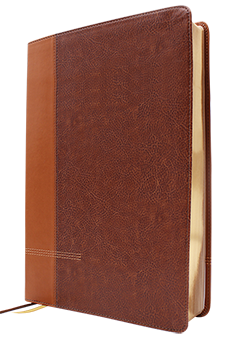 NIV Application Bible Brown Leathersoft Large Print