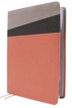 NIV Application Bible Coral Leathersoft