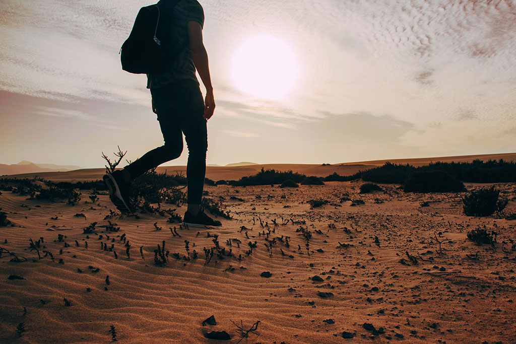Wandering in the Wilderness