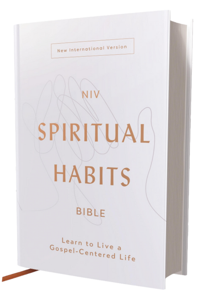 NIV Spiritual Habits Bible book cover