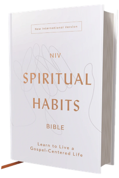 Photo of NIV Spiritual Habits