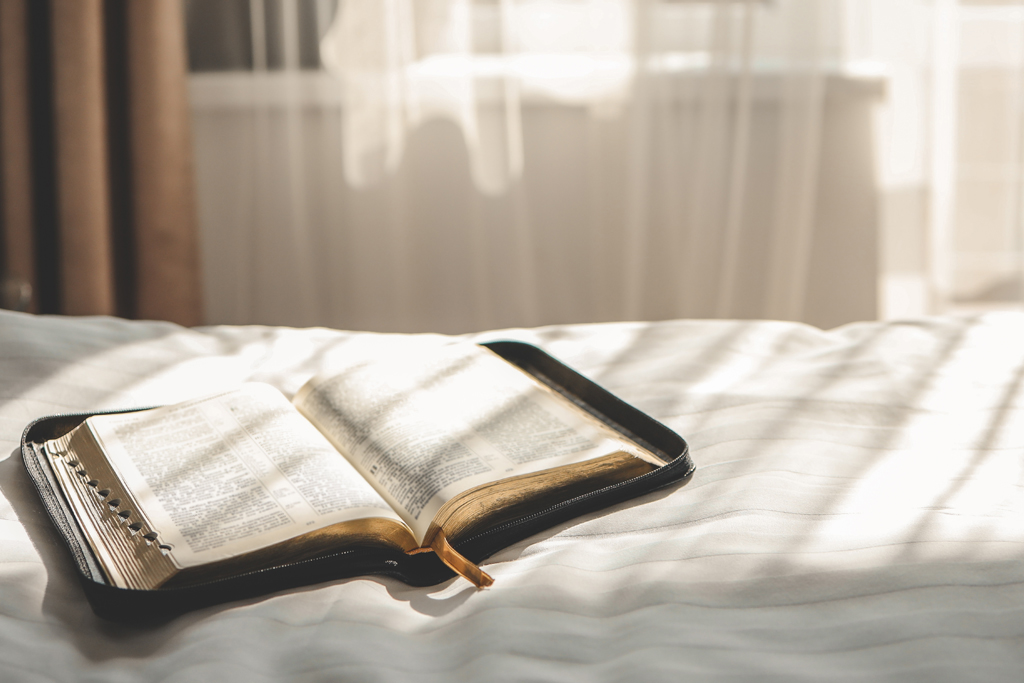 Bible open with natural sunlight